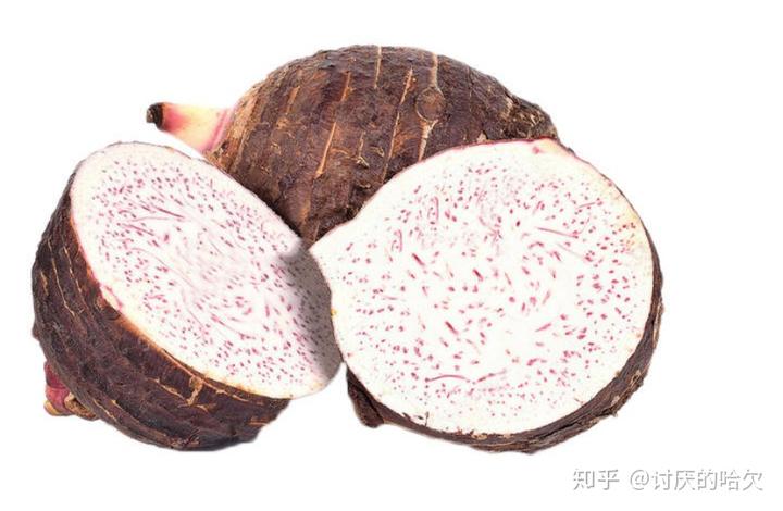 点心糖果_一种点心外面一层白糖特别脆_上面带糖的点心