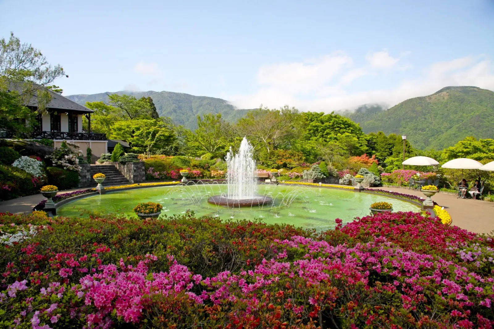 箱根强罗公园-箱根-日本