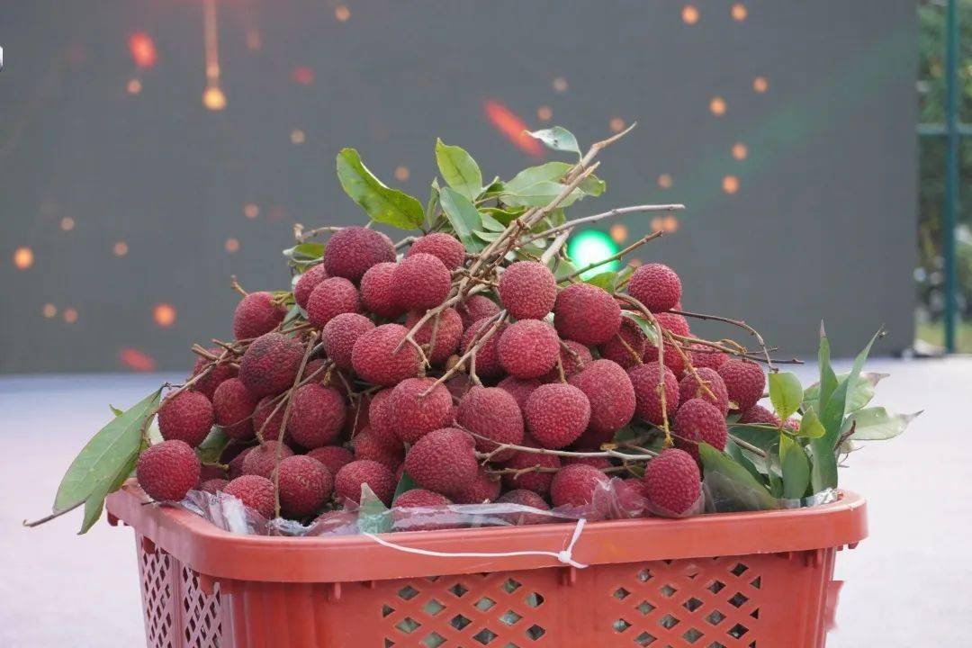 涵江美食节_涵江小吃_涵江美食